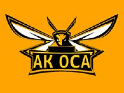 Авиакомпания Орёл - сельхозавиа ООО Авиакомпания Орёл - сельхозавиа ООО
